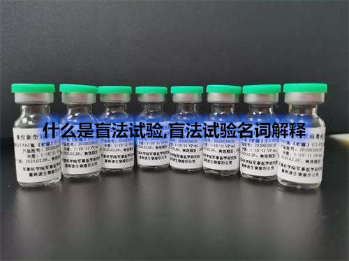 臨床試驗(yàn)盲法試驗(yàn)名詞解釋-什么情況下可以揭盲？